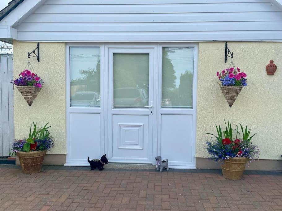 Y Villa Mor Llanarth  Exterior photo